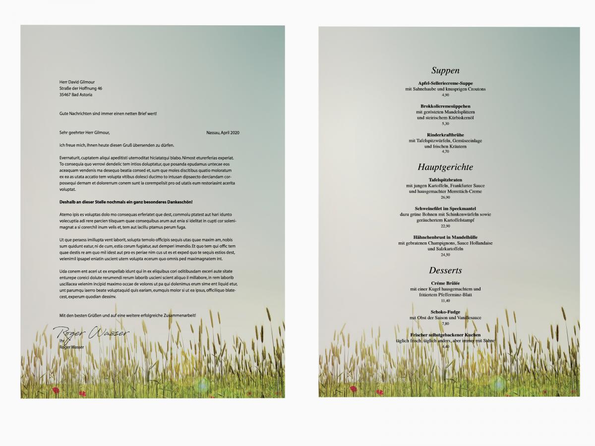 Spring Flowers Stationery  Writing paper